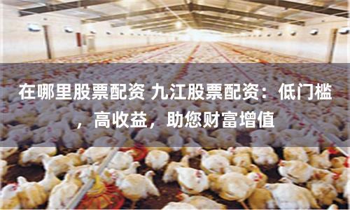 在哪里股票配资 九江股票配资：低门槛，高收益，助您财富增值