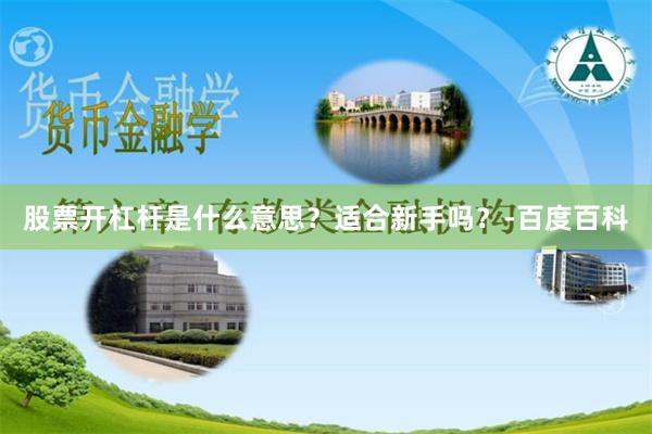 股票开杠杆是什么意思？适合新手吗？-百度百科