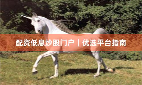 配资低息炒股门户|优选平台指南