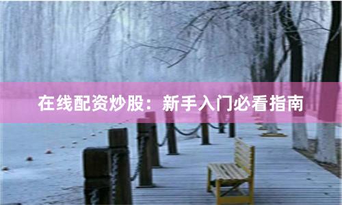 在线配资炒股：新手入门必看指南