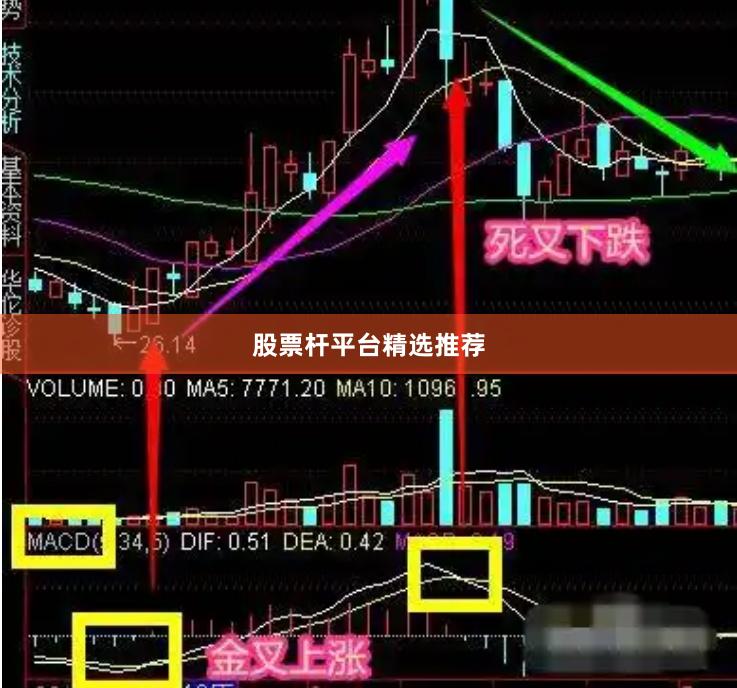 股票杆平台精选推荐