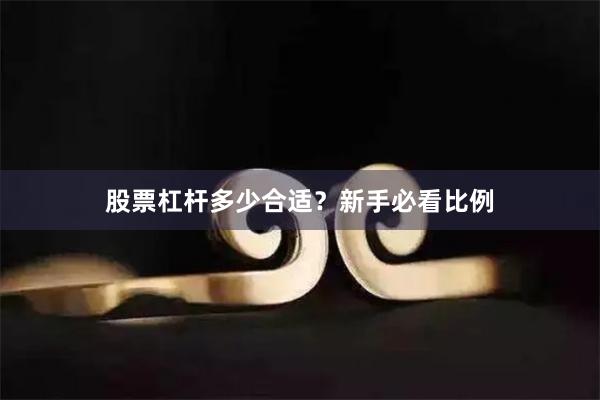 股票杠杆多少合适？新手必看比例